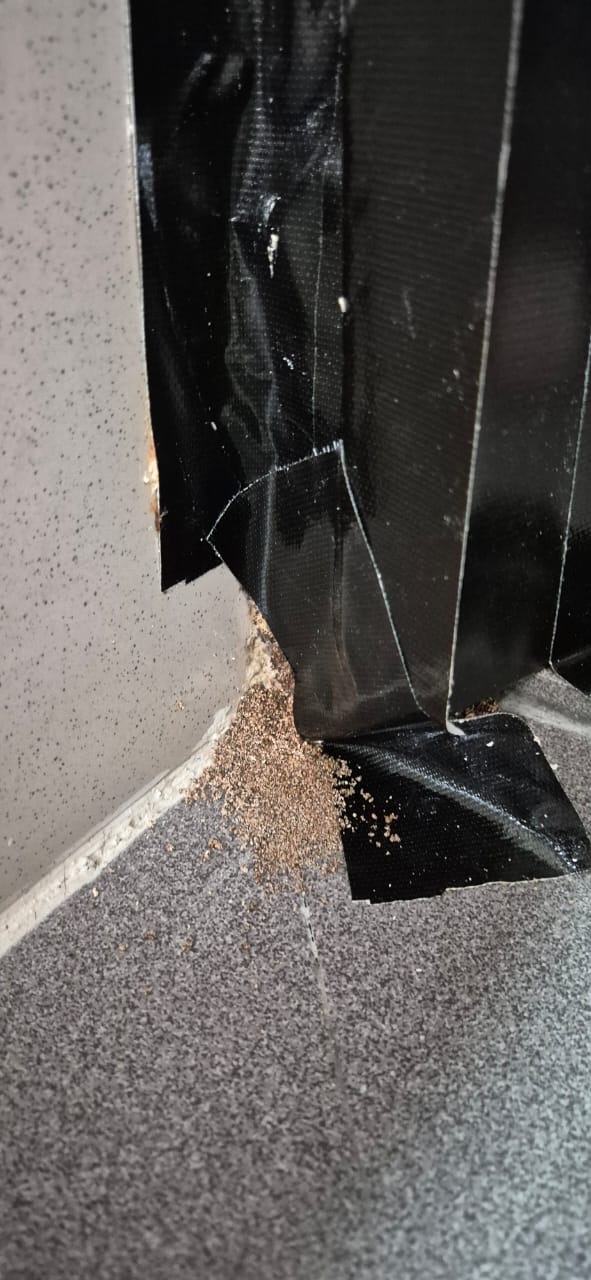 Soil pushed out by termites beside a bait station taped to a wall corner in Puchong