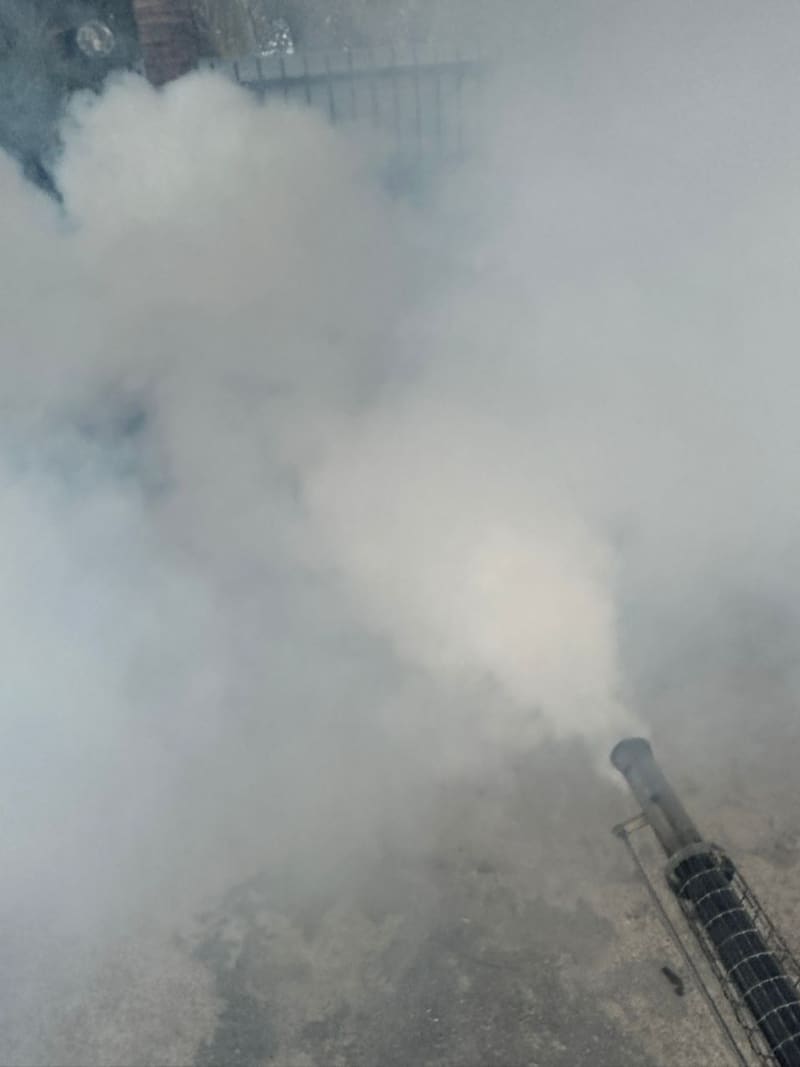 Thermal fogging over a drain to kill adult mosquitoes