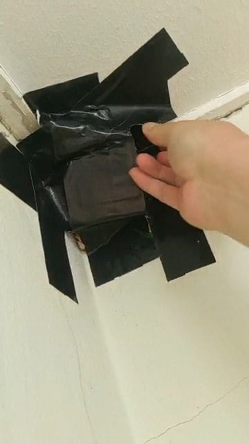 Above-ground termite bait station taped to an active spot near the ceiling