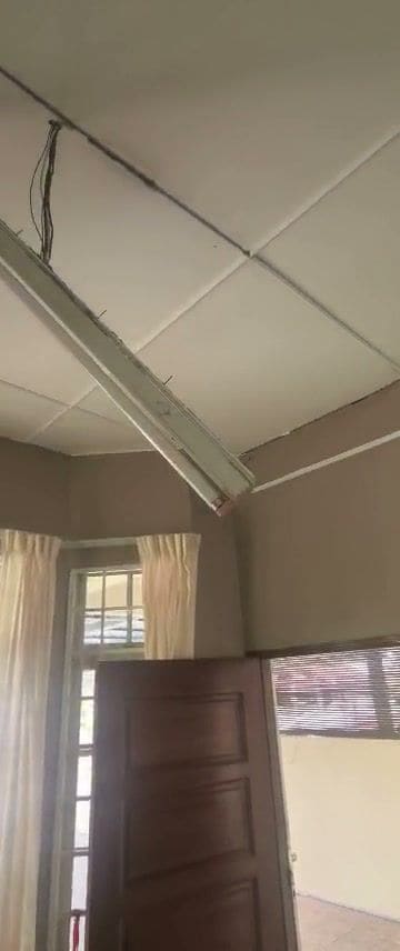 A fluorescent light fitting hanging loose from a ceiling damaged by termites