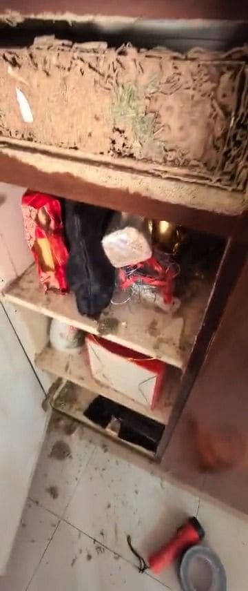 Termite damage inside a wooden cabinet