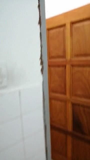 Termite mud tubes running up a wall beside a wooden door frame