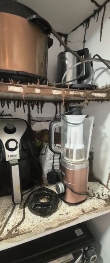 Termite mud tubes along a kitchen appliance shelf