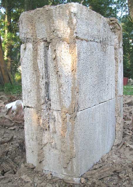 Termite mud tubes running up a concrete block